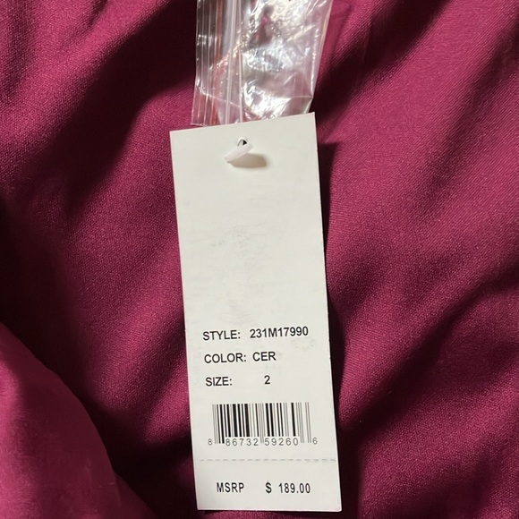 Hailey Adrianna Papell magenta gown - Picture 5 of 5